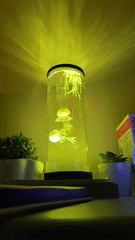 JELLY Fish Aura lamp