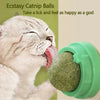 Image of Natural Catnip Scratching Post