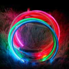 Luminous LED Dog Collar